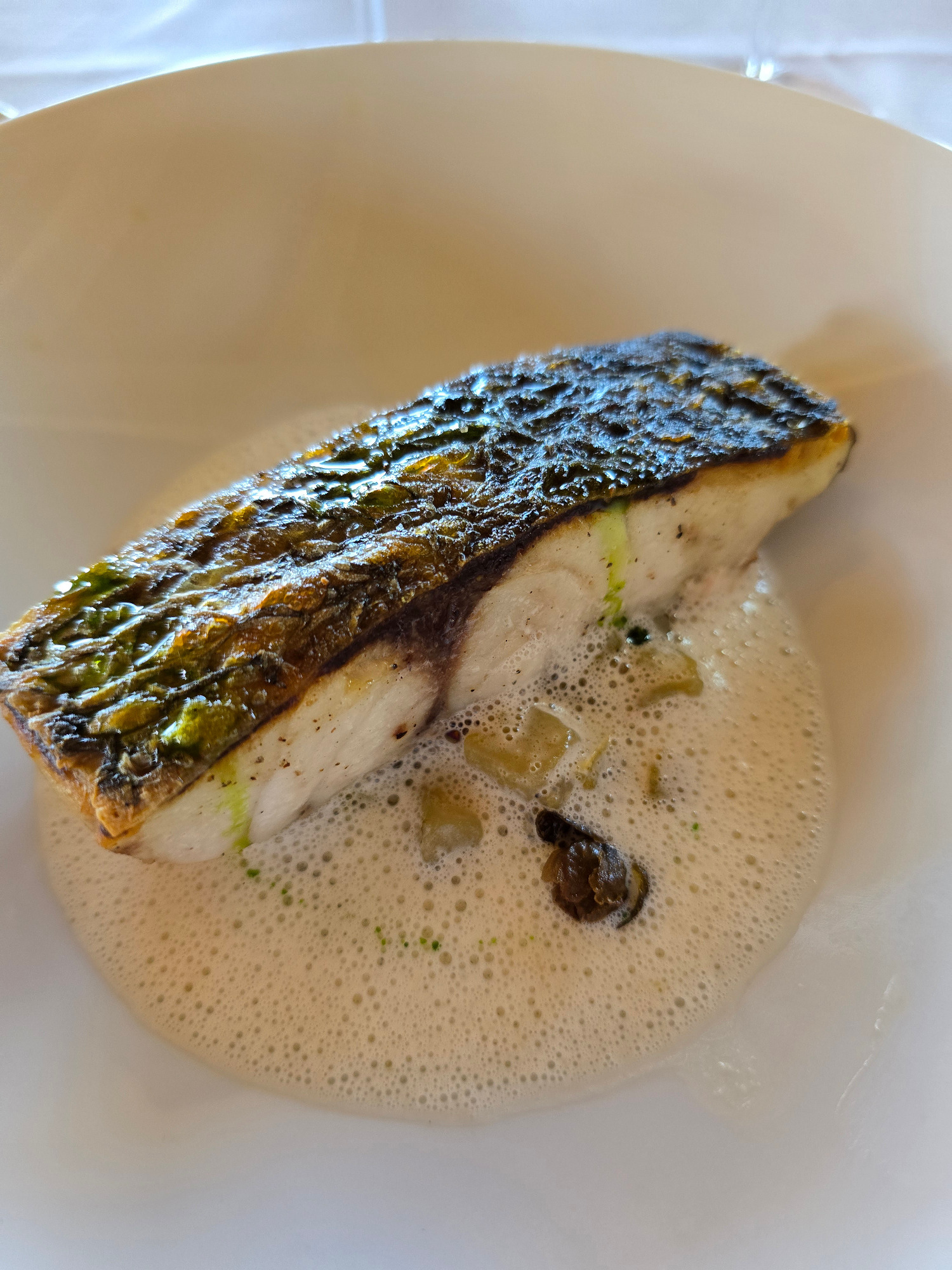 Stone bass at Perla del Garda Stone bass at Perla del Garda